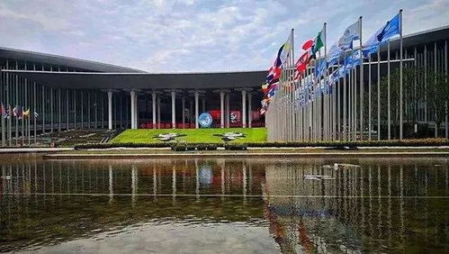 與世界共享農(nóng)業(yè)未來 世界農(nóng)產(chǎn)品點(diǎn)亮中國(guó)進(jìn)博會(huì)