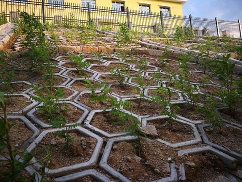 吉林高鐵綠化施工團(tuán)隊 專業(yè)園林綠化工程的實踐與價值