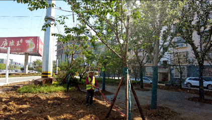 165名園林綠化工人堅(jiān)守崗位 節(jié)日植樹(shù)護(hù)綠守護(hù)房縣城市底色